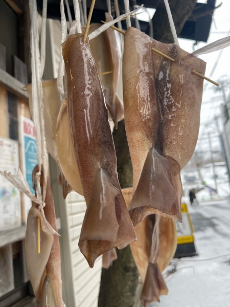 寒干しスルメイカの塩辛