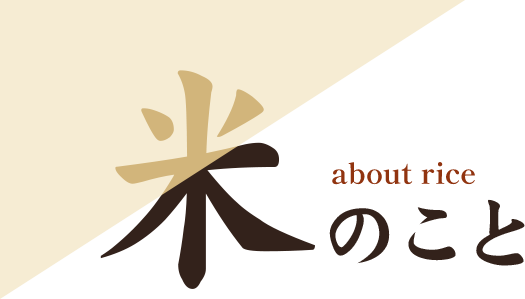 米のこと